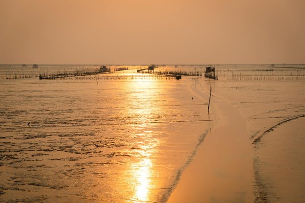 Quels sont les meilleurs spots de plongée pour explorer les épaves de la mer Rouge, Égypte?